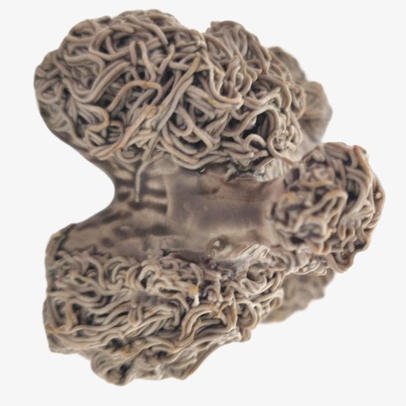 Vintage 1950s Thames Japan Spaghetti Poodle & TWO - Picture 10 of 15